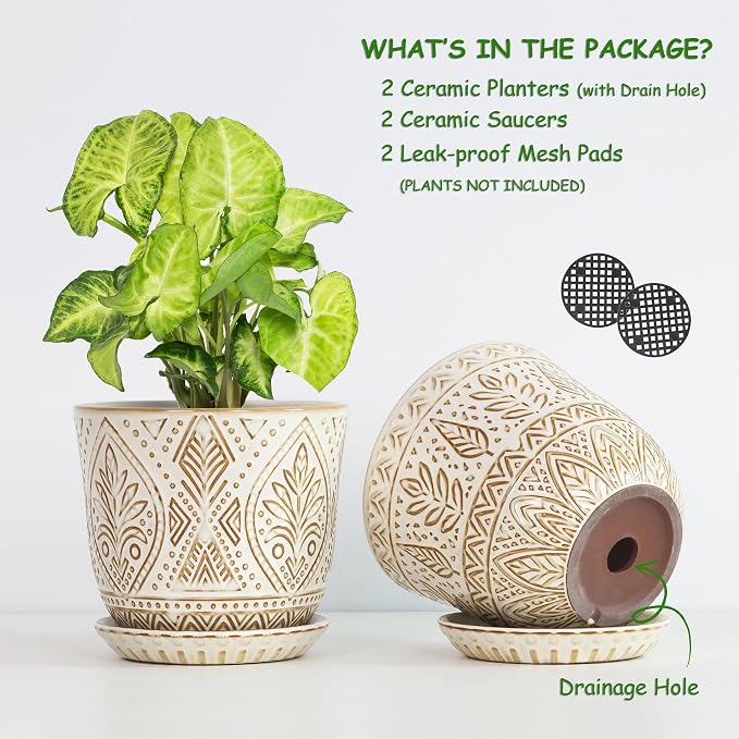 Gepege Ceramic Plant Pots, 6 Inch Indoor Planters with Drainage & Saucers | Ceramic pots for plants with drainage holes, ceramic saucers and mesh pads, ideal for flowers, herbs and succulents, set of 2