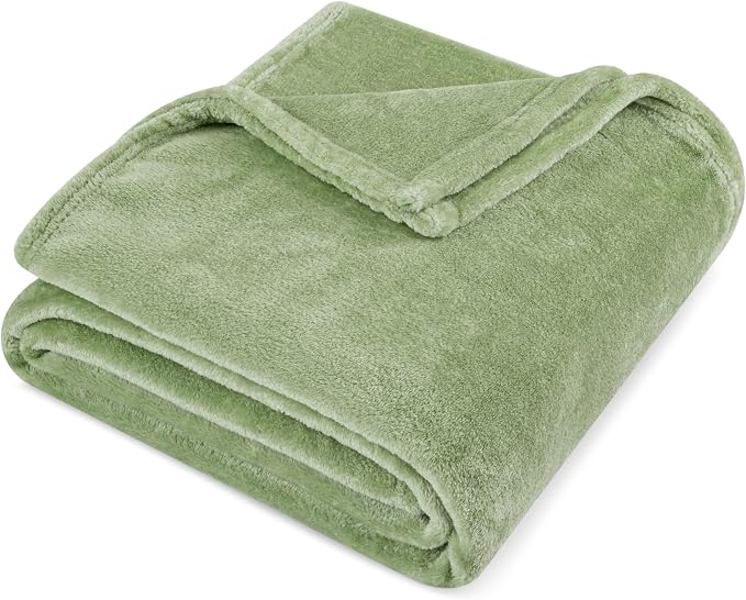 PAVILIA Sage Green Fleece Throw Blanket for Couch Twin Size, Light Olive Super Soft Fuzzy Flannel Throw for Sofa, Luxury Plush Microfiber Blanket Twin Bed, Home Decorative Velvet Gift Blanket, 60x80