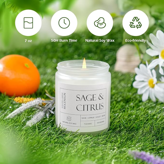Molensun Sage Citrus Scented Candle, Soy Wax 7 oz | Fresh sage and citrus aromatherapy fragrance; 50H burn long-lasting jar candle; Gift for women