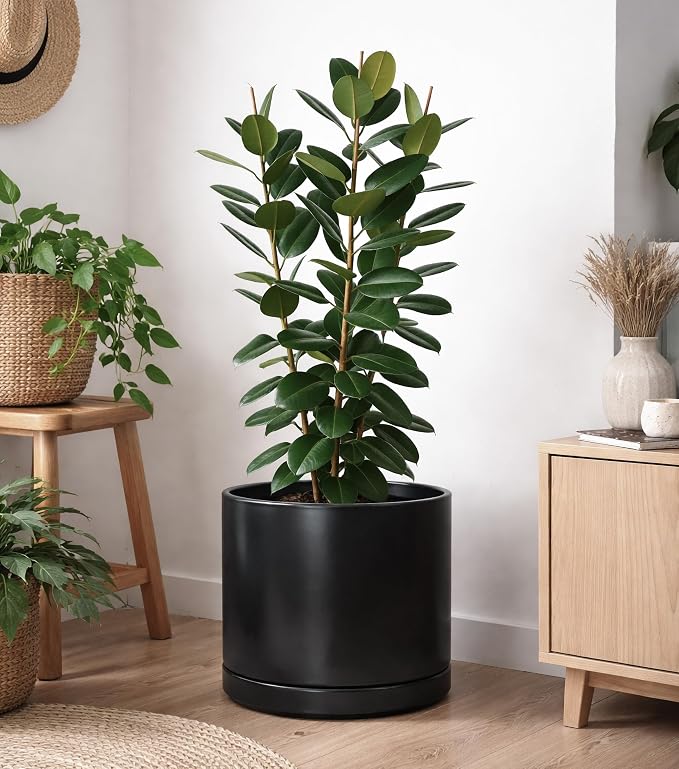 D'vine Dev 16 Inch Ceramic Planter Pot, Black, 94-O-H-2 | Modern Cylinder Design, Drainage Hole & Saucer Included, Stable Structure, Elegant Home Accent