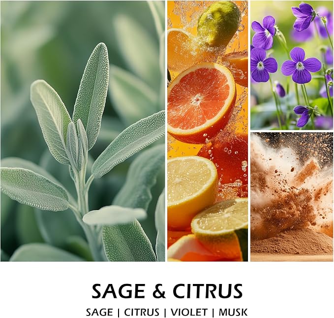 Molensun Sage Citrus Scented Candle, Soy Wax 7 oz | Fresh sage and citrus aromatherapy fragrance; 50H burn long-lasting jar candle; Gift for women