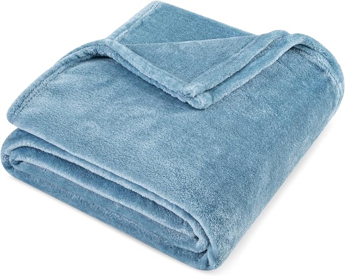 PAVILIA Fleece Blanket Throw Twin Size | Super Soft, Plush, Luxury Flannel Throw | Lightweight Microfiber Blanket for Sofa Couch Bed (Dusty Blue, 60x80 inches)
