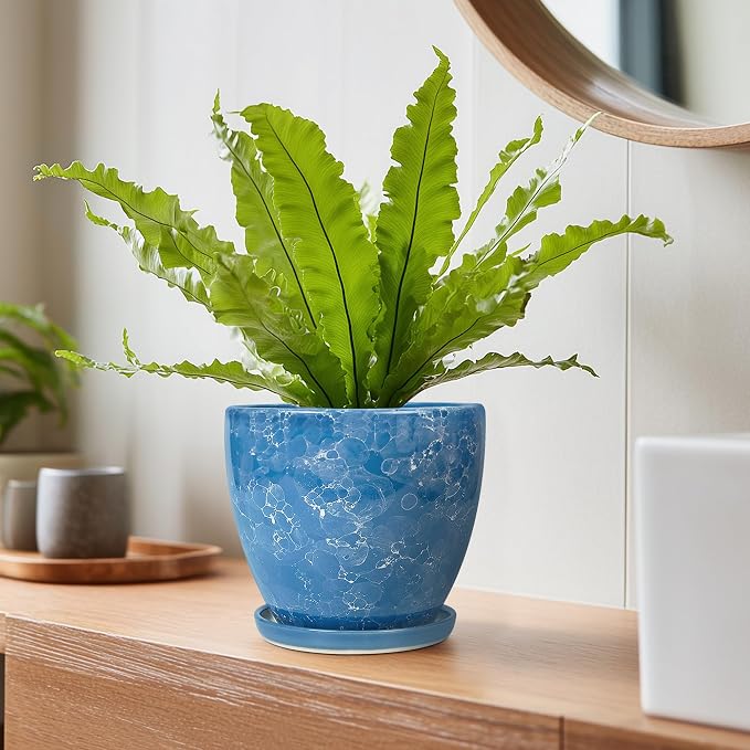6 Inch Ceramic Plant Pot - Ceramic Planters Indoor, Blue | Round Decorative Planter with Drainage Hole and Saucer, Modern Planters, Desk Office Decor, Housewarming Gifts