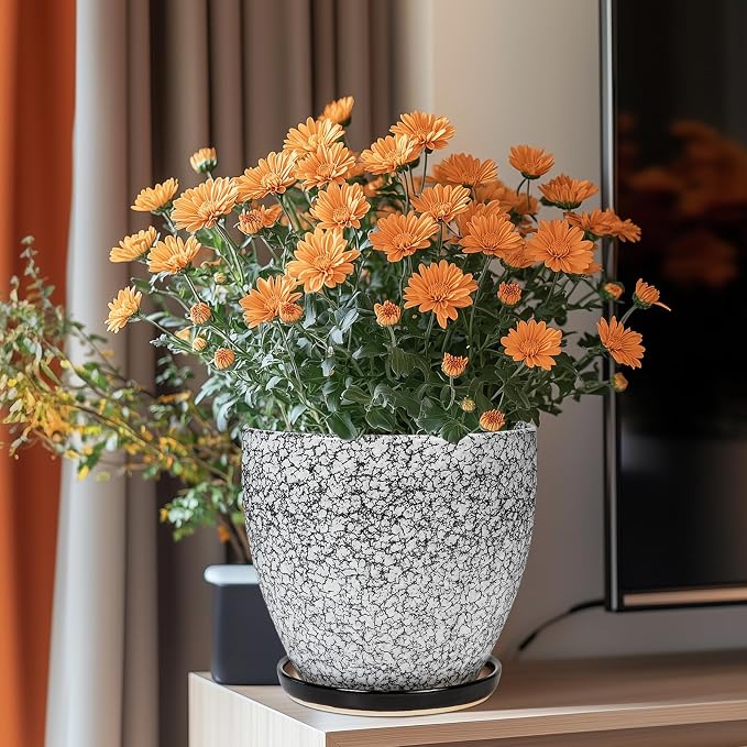 Ceraimc Plant Pot - 8 Inch Planter with Drainage and Saucer, Modern Round Planter, Flower Pot for Indoor Outdoor Plants, Home Room Garden Apartment Decor, Gifts for Plant Lovers, White-Black