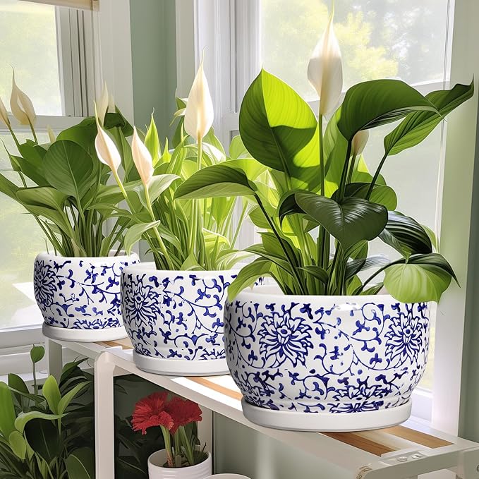 SQOWL Ceramic Pots for Plants - 8 inch Ceramic Planter with Drainage Hole and Saucer, Round Flower Pots for Indoor Plants, Porcelain Planter Outdoor, Porch Decor, Gifts for Women Men, Blue and White