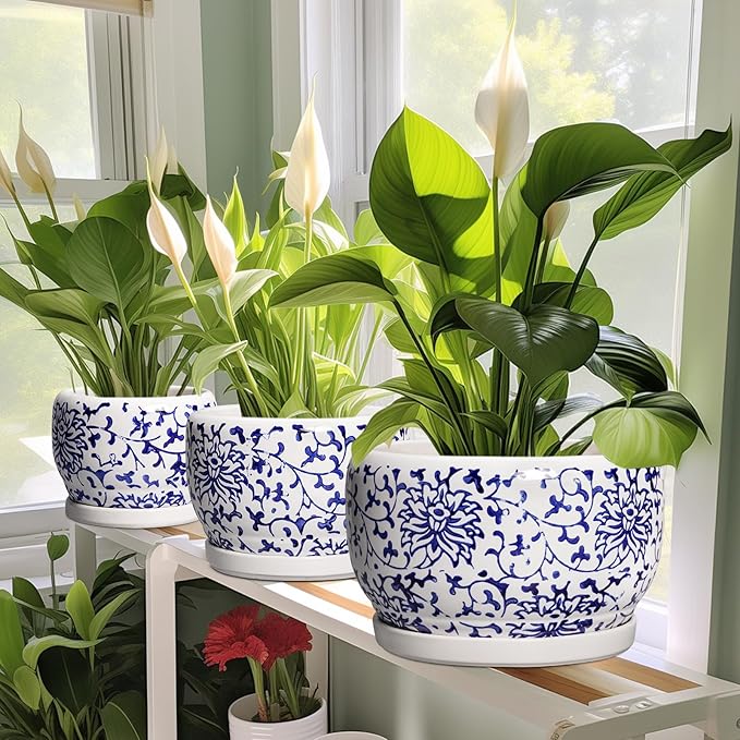 SQOWL 6 Inch Planter - Ceramic Plant Pots Indoor with Drainage Hole and Saucer, Round Ceramic Flower Pot Outdoor, Porcelain Decorative Planter, Backyard Decor, Gifts for Plant Lovers, Blue and White
