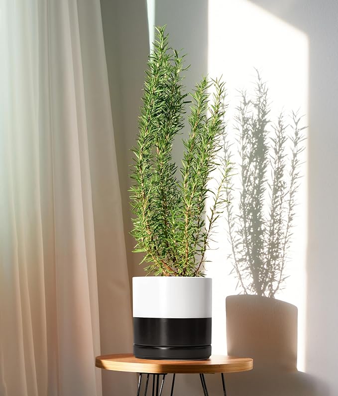 D'vine Dev 8.2 Inch Ceramic Planter Pot, Black White Two Tone, 94-O-D-L | Modern Cylinder Design, Drainage Hole & Saucer Included, Stable Structure, Elegant Home Accent