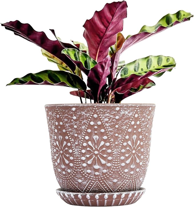 Gepege 8 Inch Ceramic Plant Pot with Drainage & Saucer | Large ceramic plant pot with drainage hole, ceramic saucer and mesh pad, ideal for indoor plants, flowers and houseplants