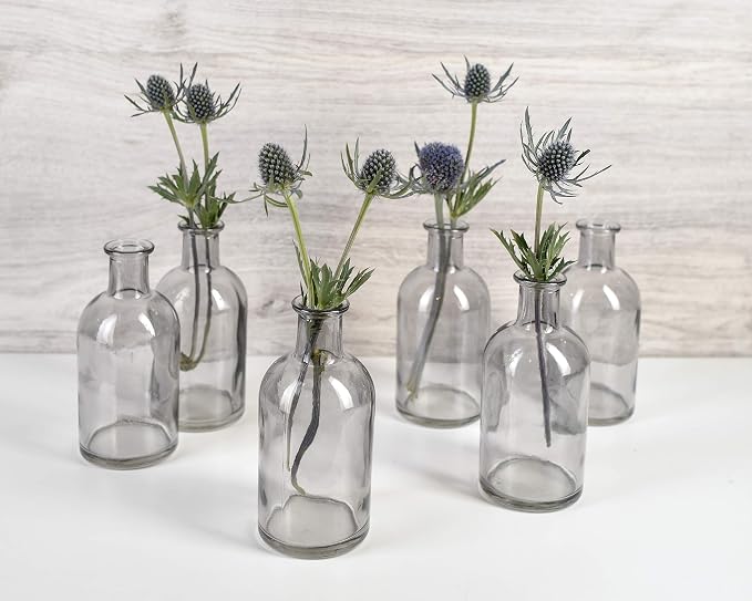 Bud Vases, Apothecary Jars, Decorative Glass Bottles, Centerpiece for Wedding Reception, Elegant Antique Decoration, Mini Flower Vases, Small Medicine Bottles for Home Decor (Smoke Gray, Set of 6)