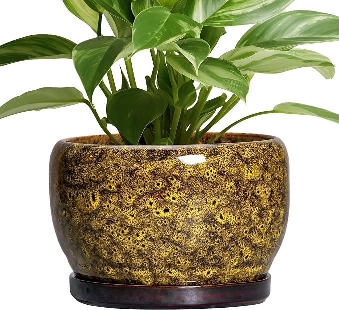 SQOWL Ceramic Flower Pots - 8 inch Ceramic Planter for Indoor Plants, Decorative Plant Pots with Drainage Hole and Saucer, Round Planter Outdoor, Porch Backyard Decor, Housewarming Gifts, Yellow
