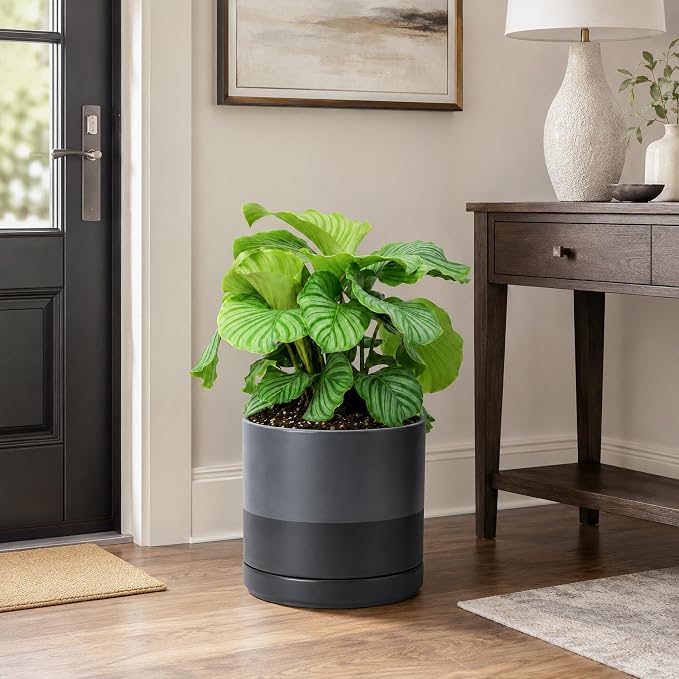 D'vine Dev 10 Inch Ceramic Planter Pot, Slate, 94-O-E-5 | Modern Cylinder Design, Drainage Hole & Saucer Included, Stable Structure, Elegant Home Accent