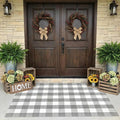 SEEKSEE Buffalo Plaid Rug 4' x 6' Gray and White Large Front Door Mat, Layering Area Rug, Washable Rug for Outdoor Patio Entryway Indoor Living Room Kitchen Dining Room Decor