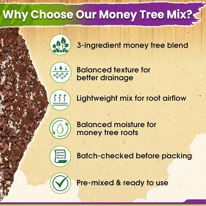 DUSPRO Money Tree Soil Indoor, 3-in-1 Pre-Mixed & Ready to Use, 4 Quarts