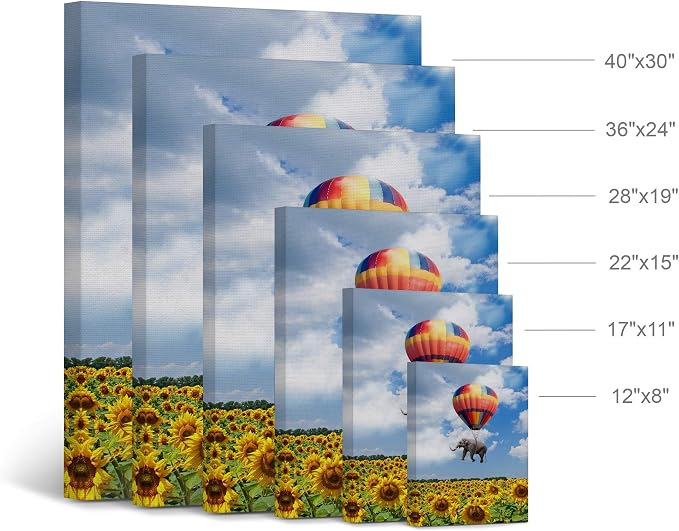 Smile Art Design Elephant with Balloon and Sunflower Field Motivational Wall Art Canvas Print Inspirational Wall Art Entrepreneur Quote Office Living Room Decor Artwork Gift Ready to Hang 28x19