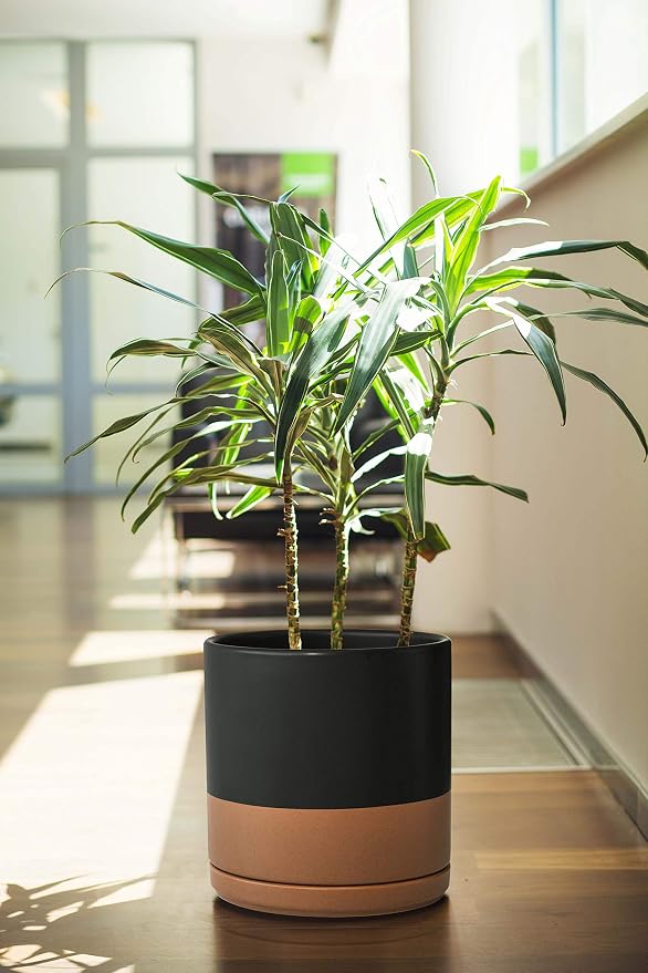 D'vine Dev 8 Inch Ceramic Planter Pot, Black/Tan, 94-O-D-7 | Modern Cylinder Design, Drainage Hole & Saucer Included, Stable Structure, Elegant Home Accent