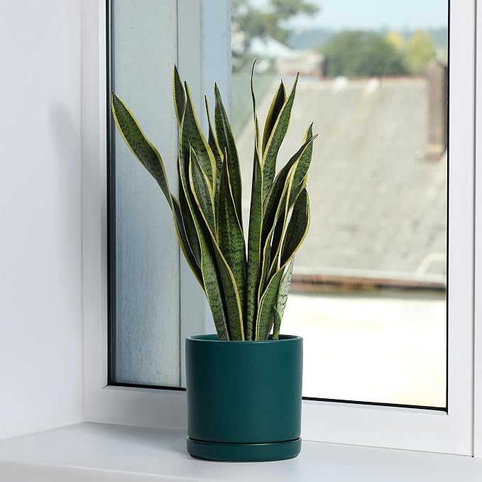 D'vine Dev 6 Inch Ceramic Planter Pot, Teal, 94-O-C-9 | Modern Cylinder Design, Drainage Hole & Saucer Included, Stable Structure, Elegant Home Accent