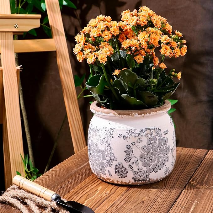 Dosayes Vintage Plant Pot, Gray, 6.29 inch Ceramic Flower Pot