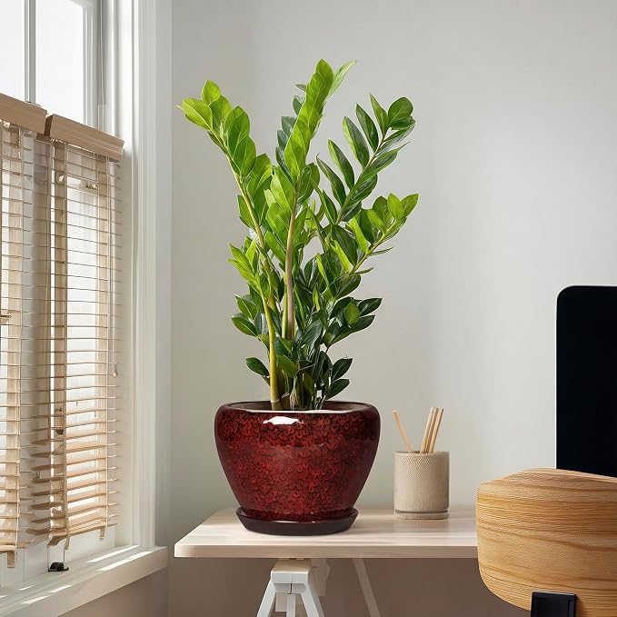 Ceramic Plant Pots - 10 Inch Planters for Plants Indoor Outdoor, Round Plant Pots with Drainage Hole and Saucer, Decorative Indoor Planter, Office Decor, Gifts for Plant Lovers, Red Leopard