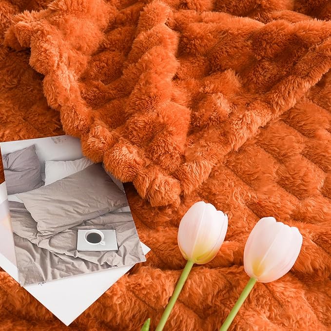 Excervent Big 3D Clouds Stylish Blanket for Bed, 50x70 Inches, Burnt Orange | Decorative Fuzzy Flannel Fleece Throw Blanket for Sofa Bed Couch, Super Soft Cozy, Suitable for All Seasons