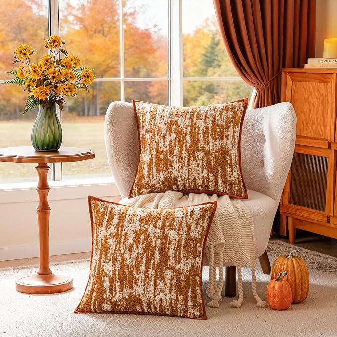 a moment Throw Pillow Covers 20x20 Inch Set of 2, Soft Textured Decorative Tie-Dye Style Cushion Covers, Modern Boho Farmhouse Home Decor Pillow Cases for Couch, Bed, Living Room,Burnt Orange