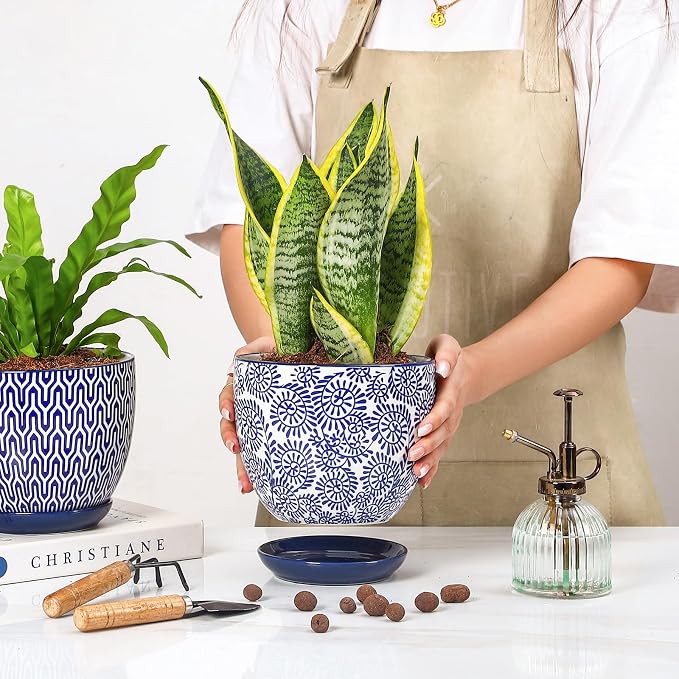 Selamica Ceramica Plant Pots, 6.5 Inch Flower Pots Set of 2 with Drainage Holes & Saucer, Planters for Indoor Plants, Home Decor, Vintage Blue