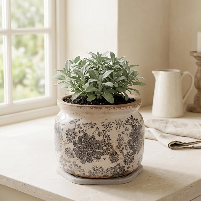 Rustic Ceramic Plant Pot with Decorative Saucer, Gifts for Plant Lovers | 7.7" Large Indoor Flower Pot, Handmade Vintage Crackled Glaze Planter, Farmhouse Country Home Decor, Gardening Gifts
