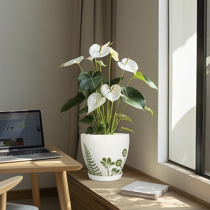 MPotTo 8.2 Inch Plant Pot - Ceramic Planter for Indoor Outdoor Flowers, Boho Round Decorative Indoor Flower Pot with Drainage Hole and Saucer, Gifts for Plant Lovers, Office Garden House Decor, White