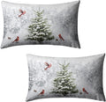Winter Christmas Lumbar Pillow Covers 12x20 Set of 2 Snowy Natural Forest Rectangle Pillowcase Green Pine Tree with Cardinal Birds Waist Cushion Case for Couch Living Room Patio