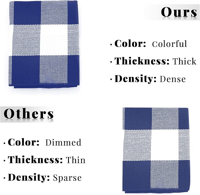 SEEKSEE Buffalo Plaid Rug 4' x 6' Blue and White Large Front Door Mat, Layering Area Rug, Summer Rug for Outdoor Patio Entryway Indoor Living Room Kitchen Dining Room Decor
