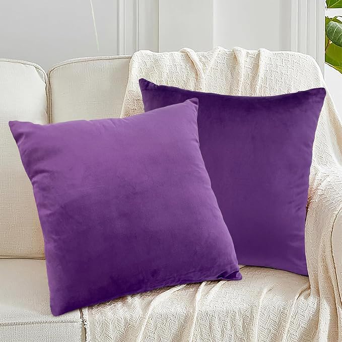 RELY+ Pack of 2 Throw Pillow Covers 18x18 Inch Velvet Soft Cozy Solid Decoration Gifts Pillow Covers Luxury Cushion Case for Sofa Couch Bedroom Living Room (Purple, 18 X 18)