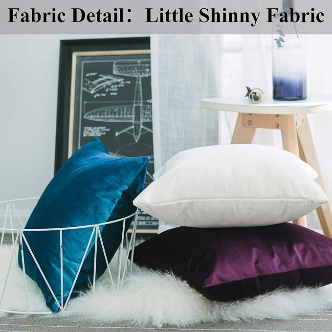Home Brilliant Velvet Lumbar Solid Pillowcases Decorative Purple Pillow Covers for Couch Sofa, Set of 2, 12x20 Inch(30x50cm), Eggplant