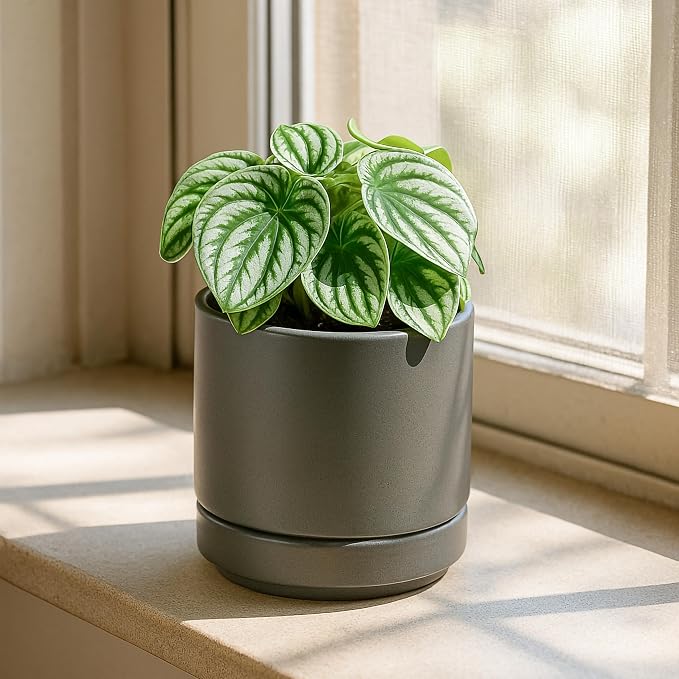 D'vine Dev 4.7 Inch Ceramic Planter Pot, Grey, 94-O-B-3 | Modern Cylinder Design, Drainage Hole & Saucer Included, Stable Structure, Elegant Home Accent