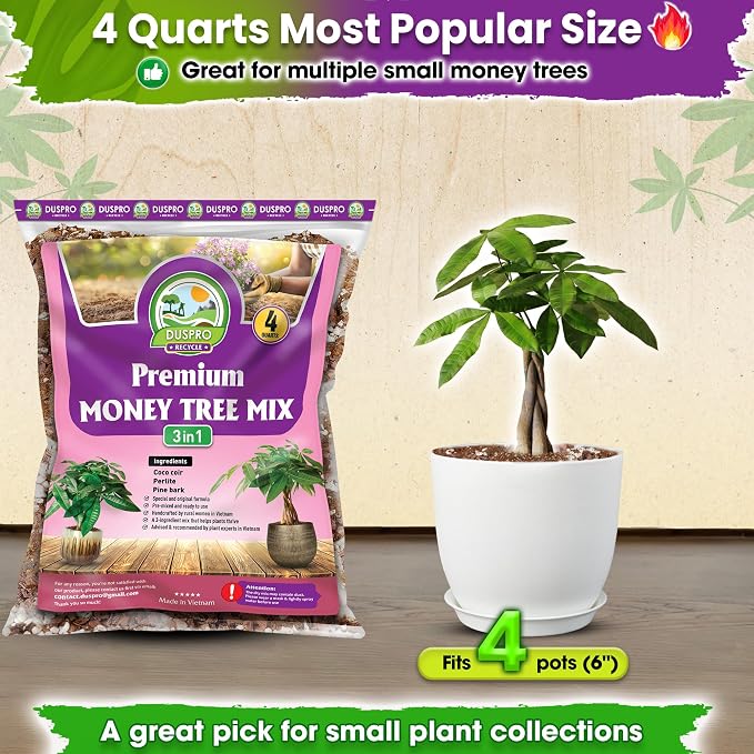 DUSPRO Money Tree Soil Indoor, 3-in-1 Pre-Mixed & Ready to Use, 4 Quarts