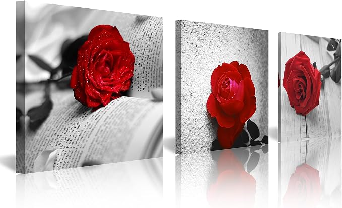 NAN Wind 3 Pcs Modern Canvas Painting Black and White Red Rose Canvas Art Abstract Wall Art Decorations Flower Picture on Canvas for Home Decor (14X14inchX3Pcs, B-Rose)