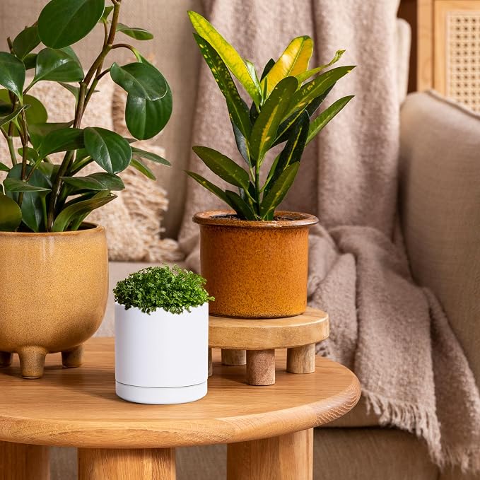 D'vine Dev 3.5 Inch Ceramic Planter Pot, White, 94-O-A-1 | Modern Cylinder Design, Drainage Hole & Saucer Included, Stable Structure, Elegant Home Accent