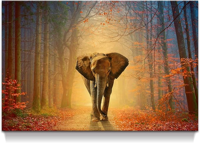 artopia Elephant Canvas Picture Walking Forest: African Wild Animal Wall Art Yellow Red Painting Autumn Nature Prints For Bedroom Living Room Decor 36x24