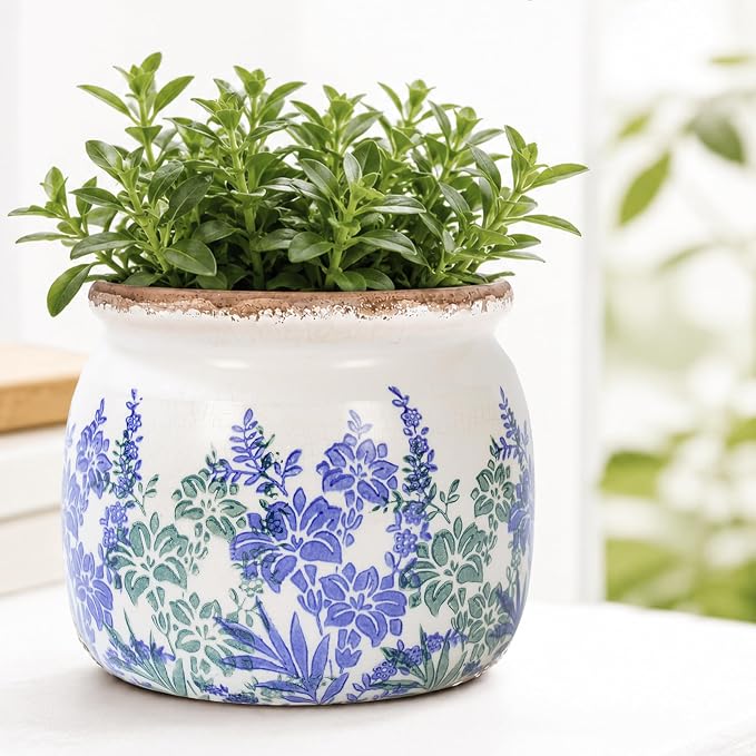 Dosayes Vintage Plant Pot,6.29 inch Ceramic Flower Pot with Drainage