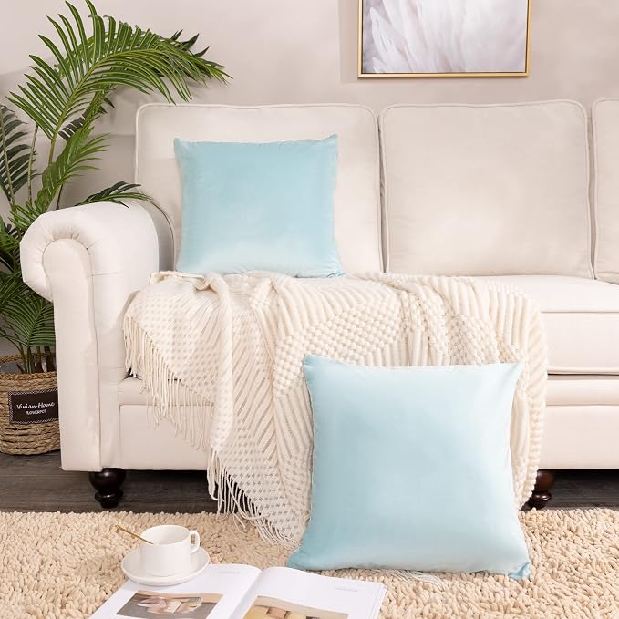 Stellhome Powder Blue Velvet Throw Pillow Covers 24x24 inch, Decorative Solid Soft Cushion Cases for Couch Sofa Bed, Pack of 2