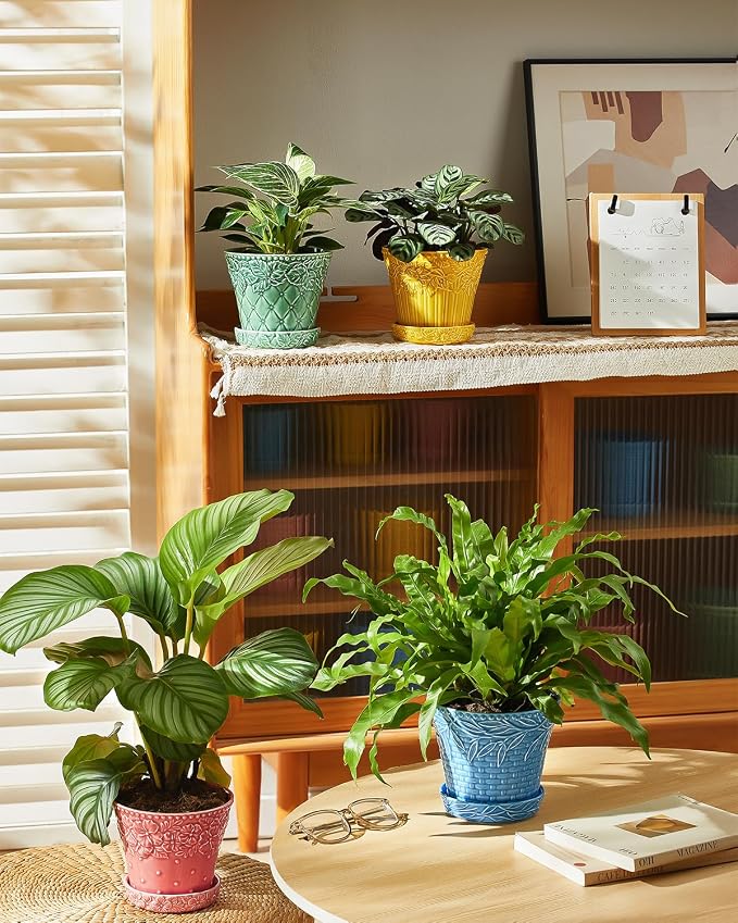 Metahom 5.8 Inch Ceramic Plant Pots, Flower Pots Set of 4, Assorted Colors