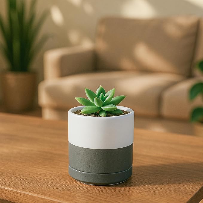 D'vine Dev 3.5 Inch Ceramic Planter Pot, White/Grey, 94-O-A-6 | Modern Cylinder Design, Drainage Hole & Saucer Included, Stable Structure, Elegant Home Accent