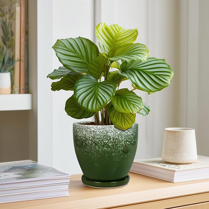 6 Inch Plant Pot - Ceramic Plant Pots with Drainage Hole and Saucer, Ceramic Planter for Indoor Outdoor Plants, Round Modern Planter, Room House Decor, Gifts for Women Men, Green