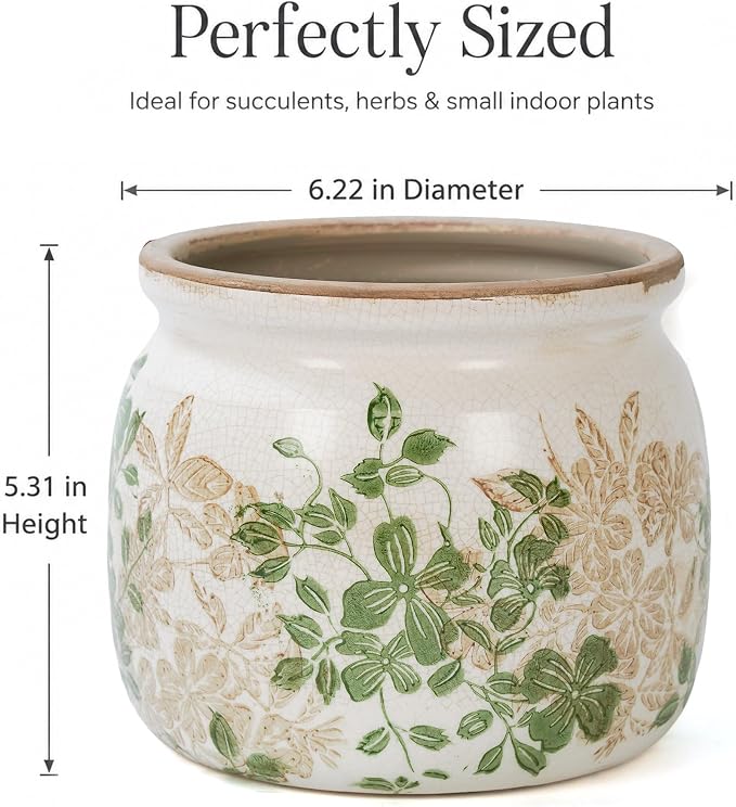 Dosayes Vintage Plant Pot,6.29 inch Ceramic Flower Pot with Drainage