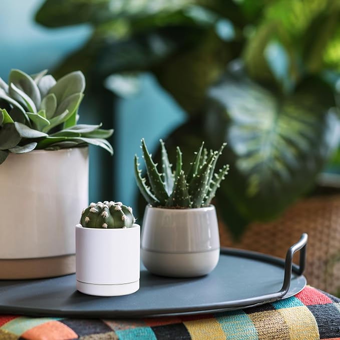 D'vine Dev 3.5 Inch Ceramic Planter Pot, White, 94-O-A-1 | Modern Cylinder Design, Drainage Hole & Saucer Included, Stable Structure, Elegant Home Accent