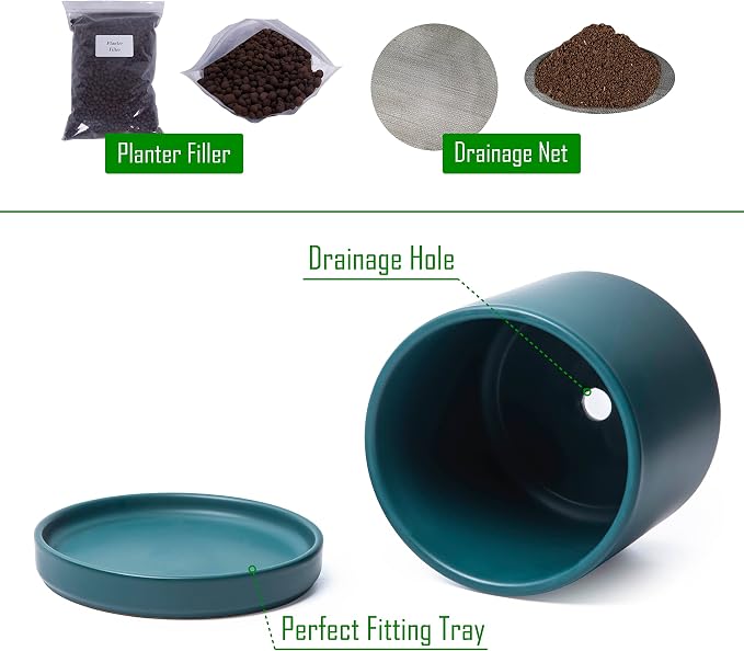 D'vine Dev 6 Inch Ceramic Planter Pot, Teal, 94-O-C-9 | Modern Cylinder Design, Drainage Hole & Saucer Included, Stable Structure, Elegant Home Accent