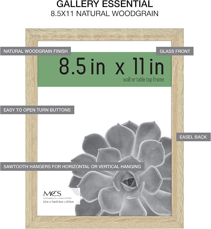 MCS Gallery Essential Certificate Document Frame Set, Gallery Wall Frames F
