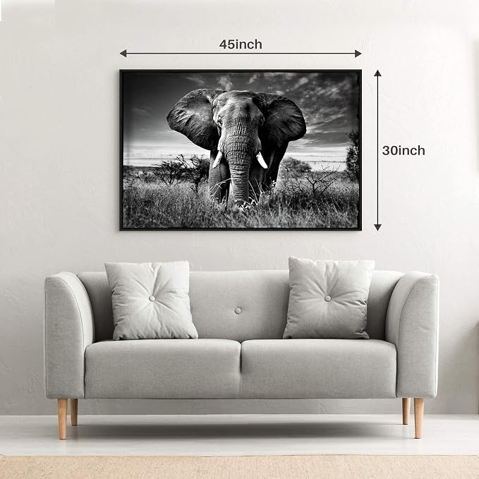 Framed Elephant Picture Wall Decor: Black White African Animals Painting Tropical Wildlife Prints Nature Artwork For Bedroom Living Room 45x30