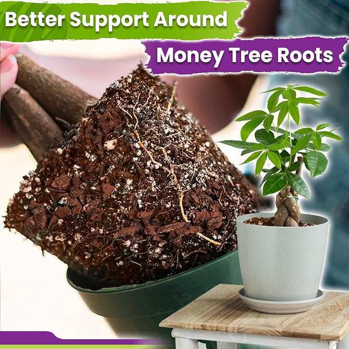 DUSPRO Money Tree Soil Indoor, 3-in-1 Pre-Mixed & Ready to Use, 4 Quarts