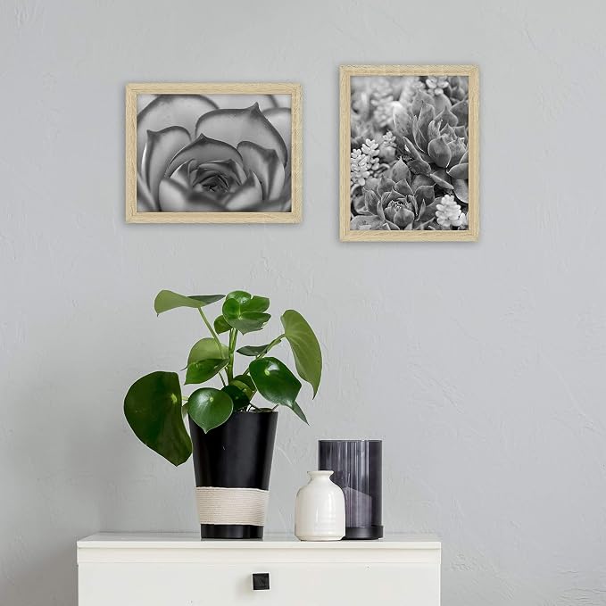 MCS Gallery Essential Certificate Document Frame Set, Gallery Wall Frames F