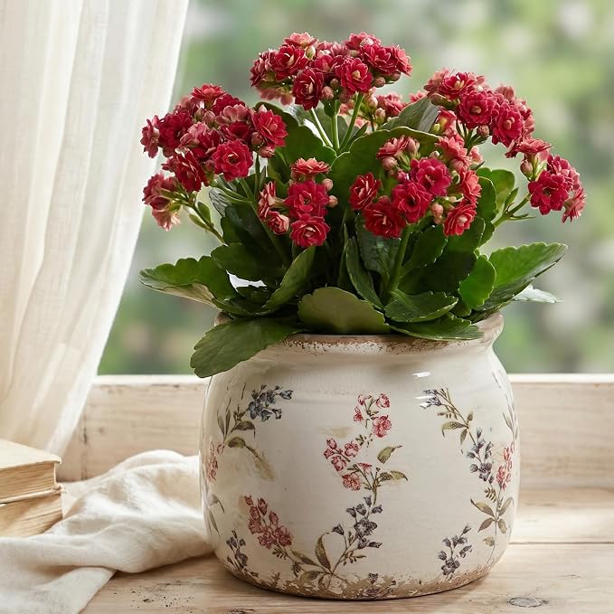 Xiaan Jiaju Flower Pots, Vintage Antique Ceramic Planters for Indoor Plants | 6.29" Decorative Vase & Plant Pots With Drainage, French Country Home Room Decor, Gardening & Housewarming Gifts