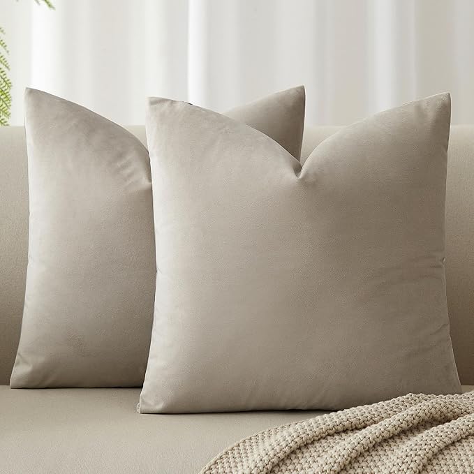 Throw Pillow Covers Set of 2 for Couch Bed Velvet Cushion Cover 14x14,Cloud